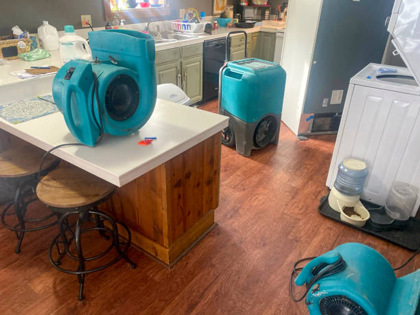 Best Water damage restoration near me  in Wlowbrook, IL