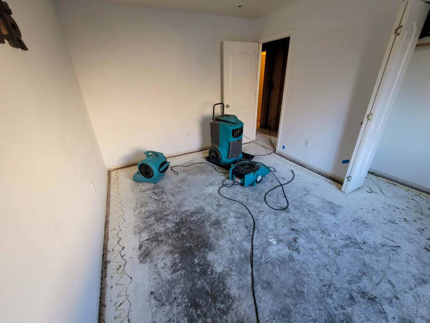 Best Flood restoration services  in Wlowbrook, IL