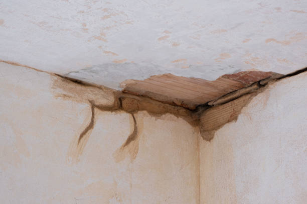 24/7 water damage repair in Willowbrook, IL