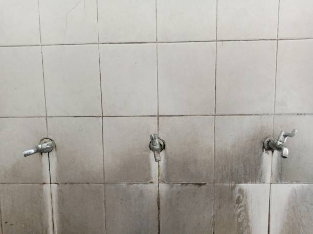 Best Commercial water damage restoration  in Wlowbrook, IL