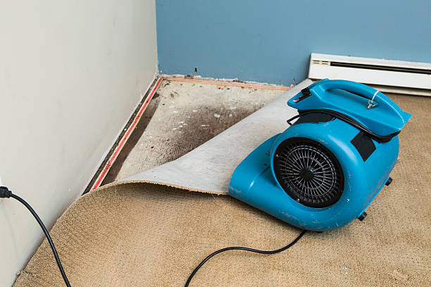 Best Water damage restoration company  in Wlowbrook, IL